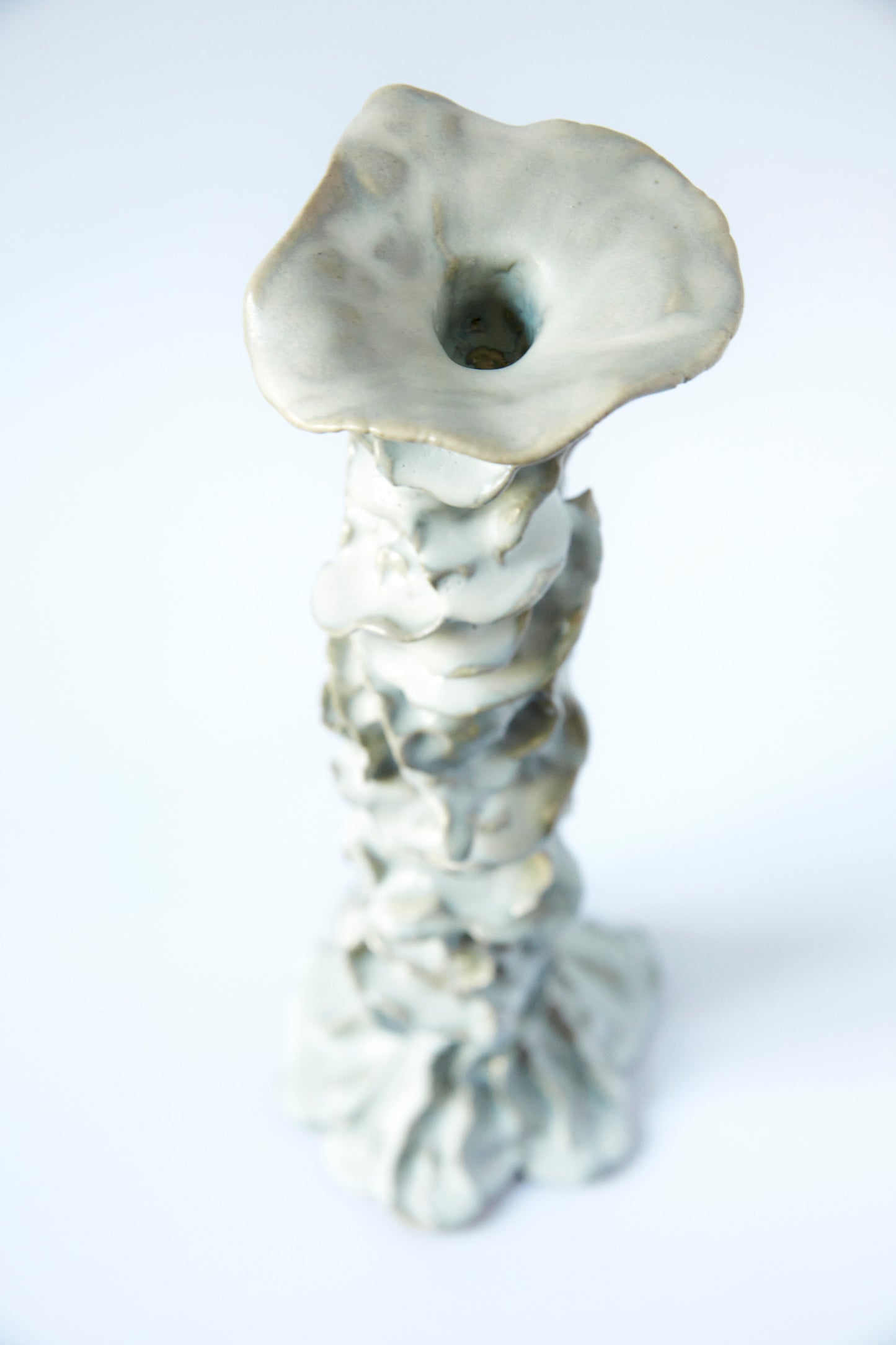 BIG Seaweed Candleholder